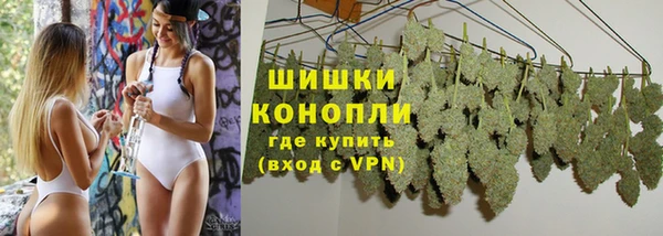 ПСИЛОЦИБИНОВЫЕ ГРИБЫ Краснотурьинск