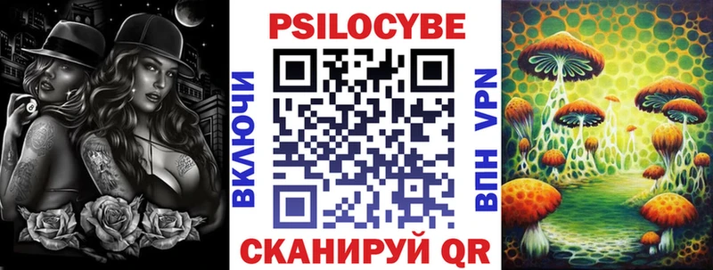 Псилоцибиновые грибы Psilocybine cubensis  дарк нет официальный сайт  Шиханы  omg ссылки 